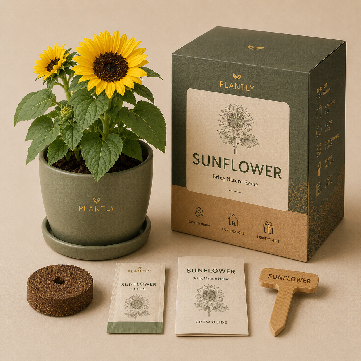 🌻 Sunflower