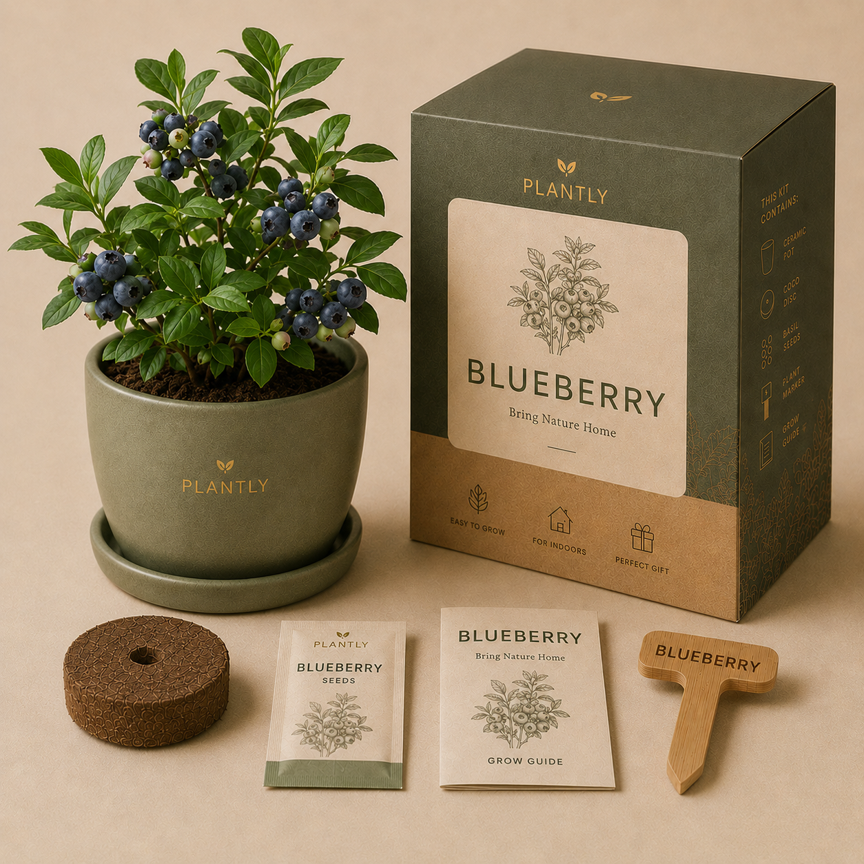 🫐 Blueberry
